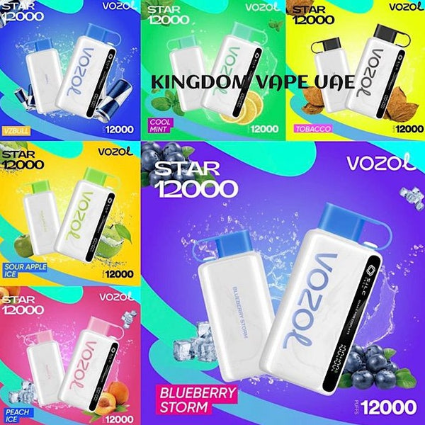 elfbar elfa kaufen VOZOL STAR 12000 main image 1
