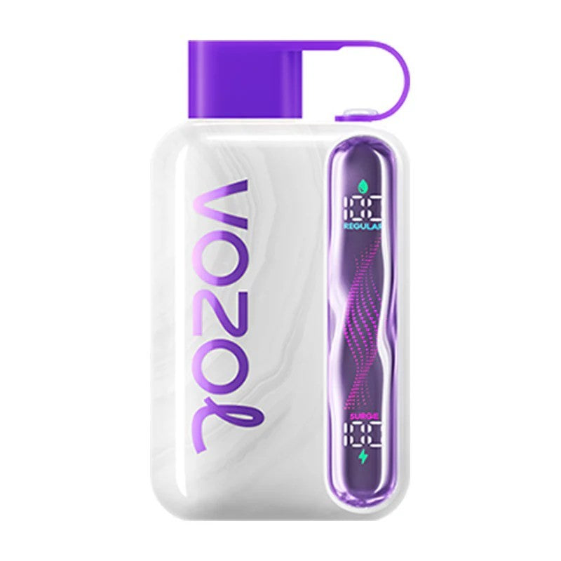 VOZOL STAR 40000 PUFFS| Vozol Vape Near me|