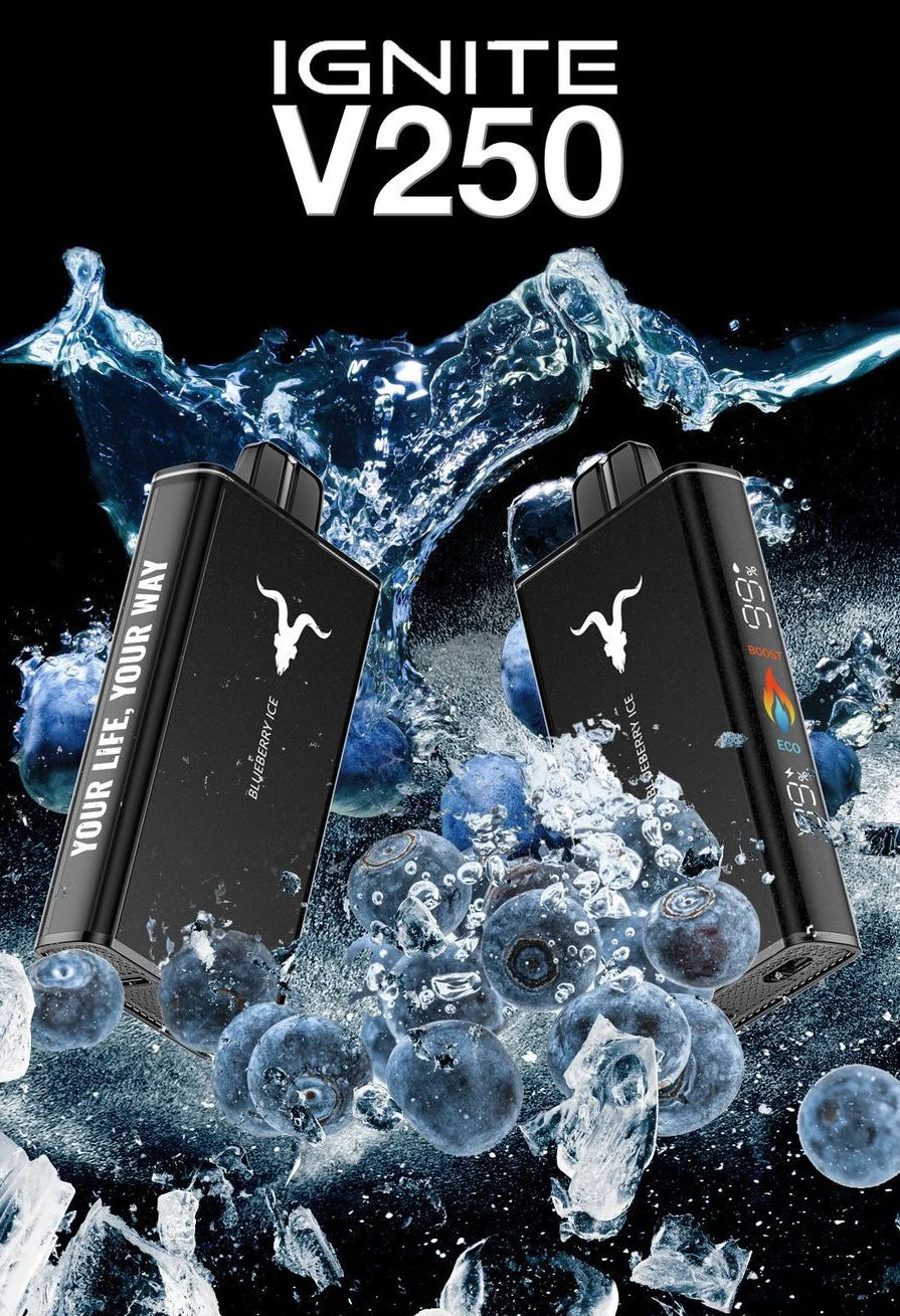 IGNITE V250 Disposable Vape Pen 25000 Puffs 50mg Dubai Abu Dhabi