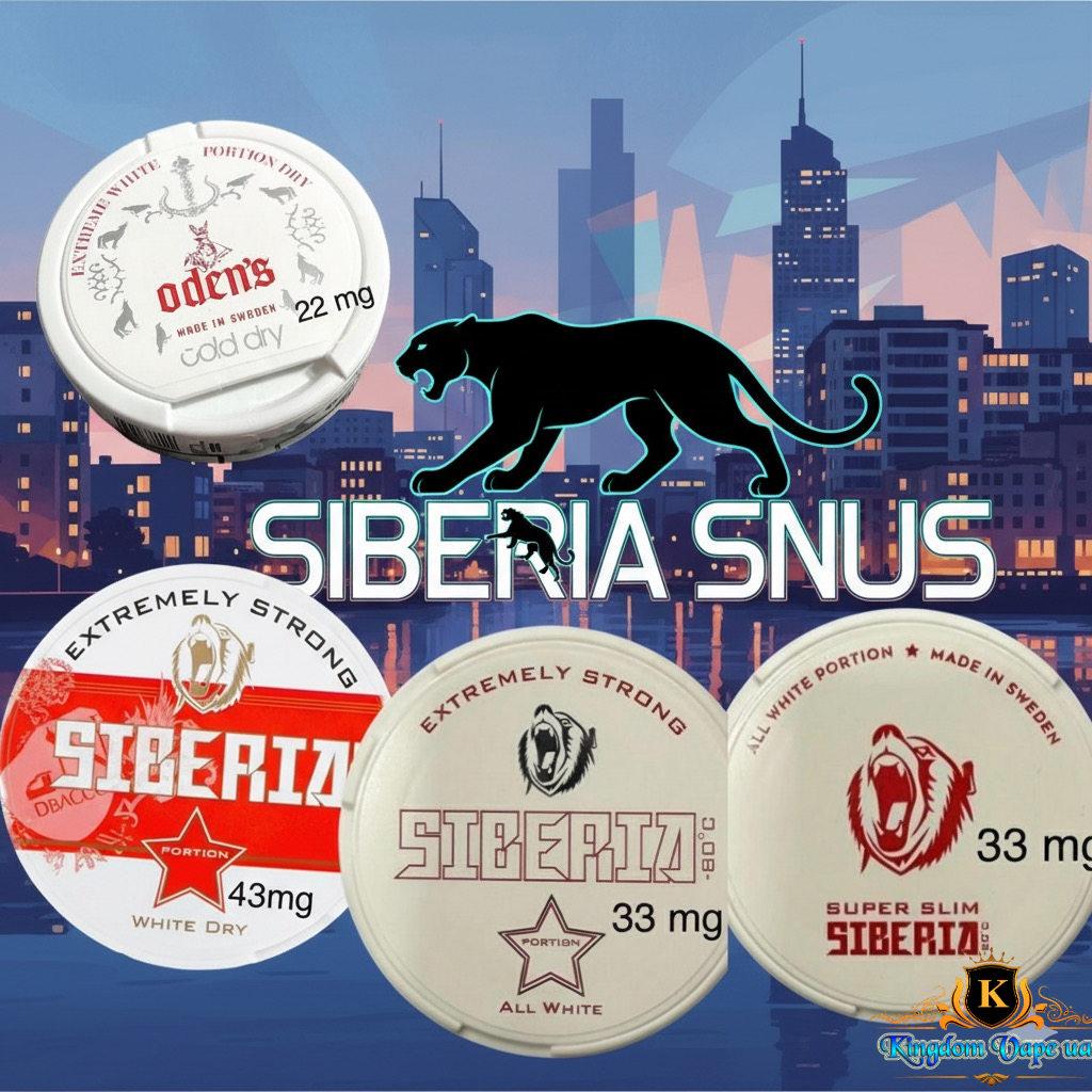 SIBERIA Snus Dubai UAE