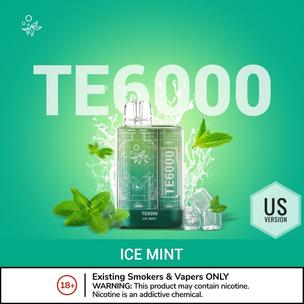 ELFBAR TE6000 Puffs USA Version Vape Pen Dubai