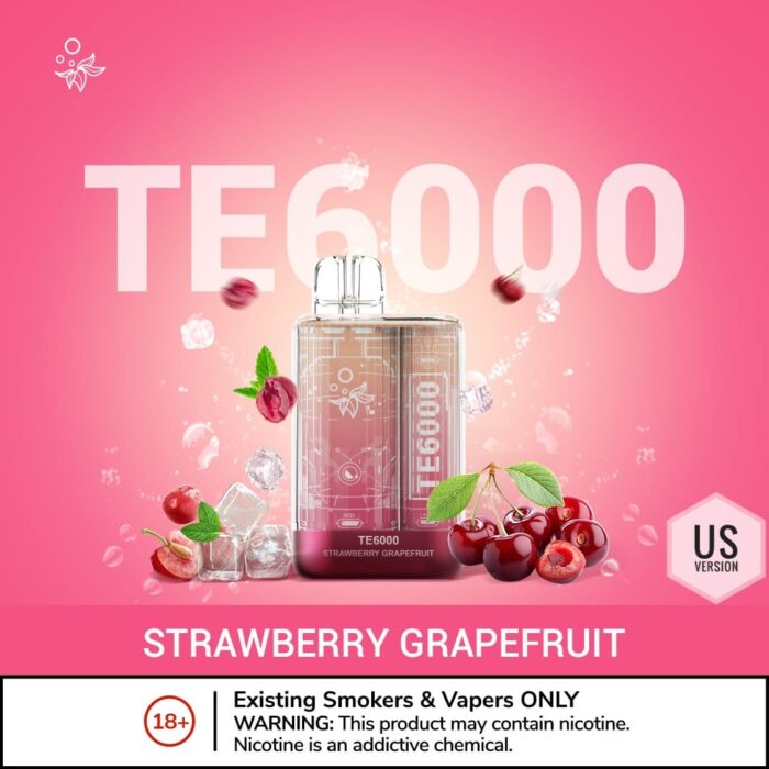 ELFBAR TE6000 Puffs USA Version Vape Pen Dubai