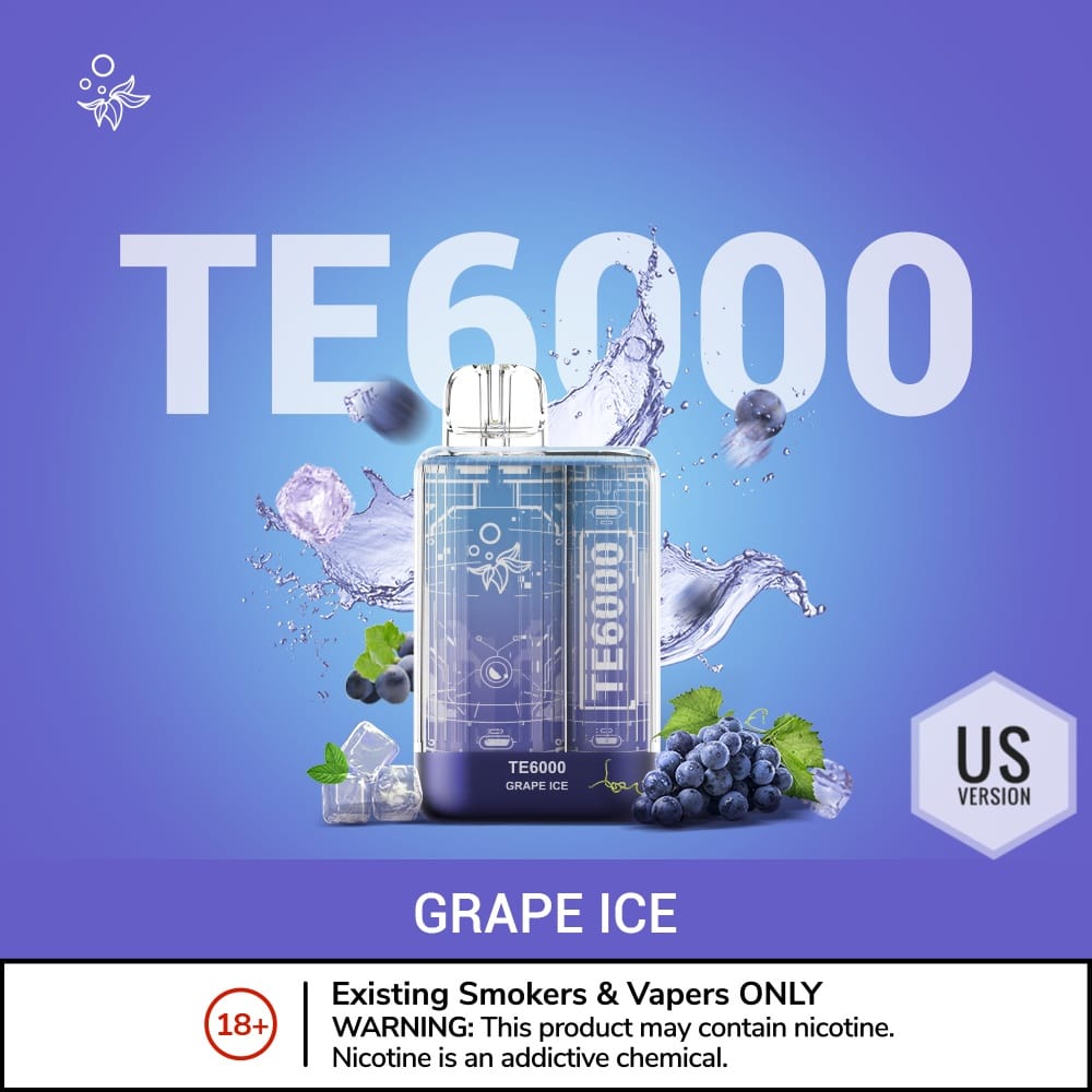 ELFBAR TE6000 Puffs USA Version Vape Pen Dubai