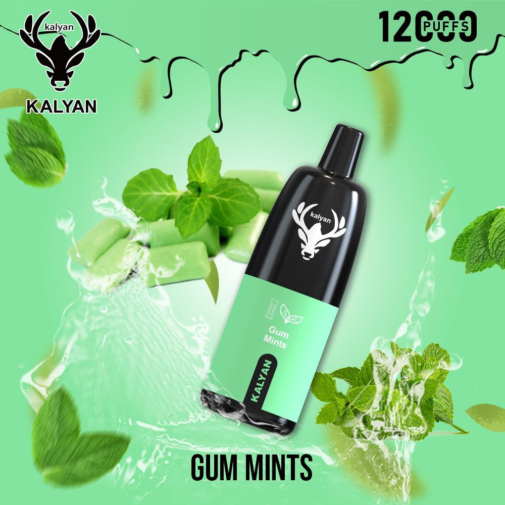 Kalyan Pro 12000 Puffs Vape Rechargeable Kit 50mg