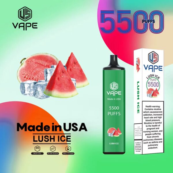 US DISPOSABLE VAPE 5500PUFFS